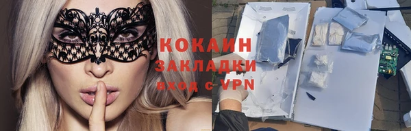стаф Алексин