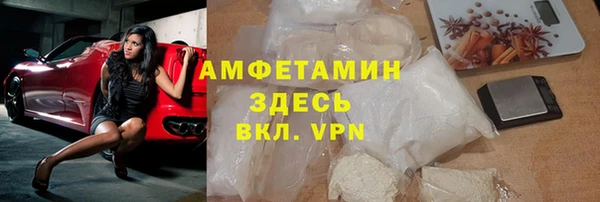 стаф Алексин