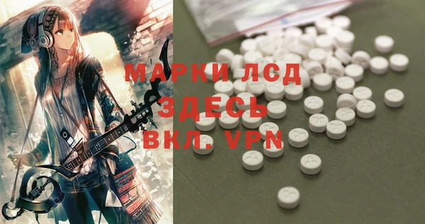 apvp Алзамай
