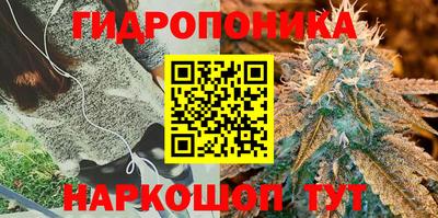 гидра Бийск