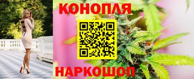 гидра Бийск