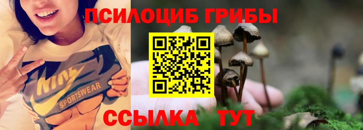 Галлюциногенные грибы мухоморы  Вход с VPN  Волгоград 